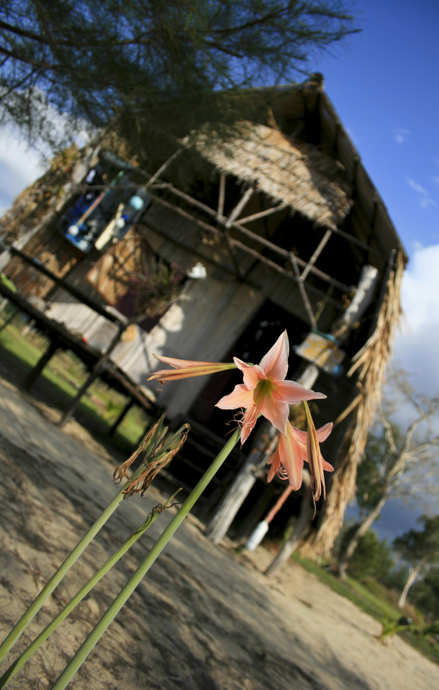 Mr. Chuoi Bungalows