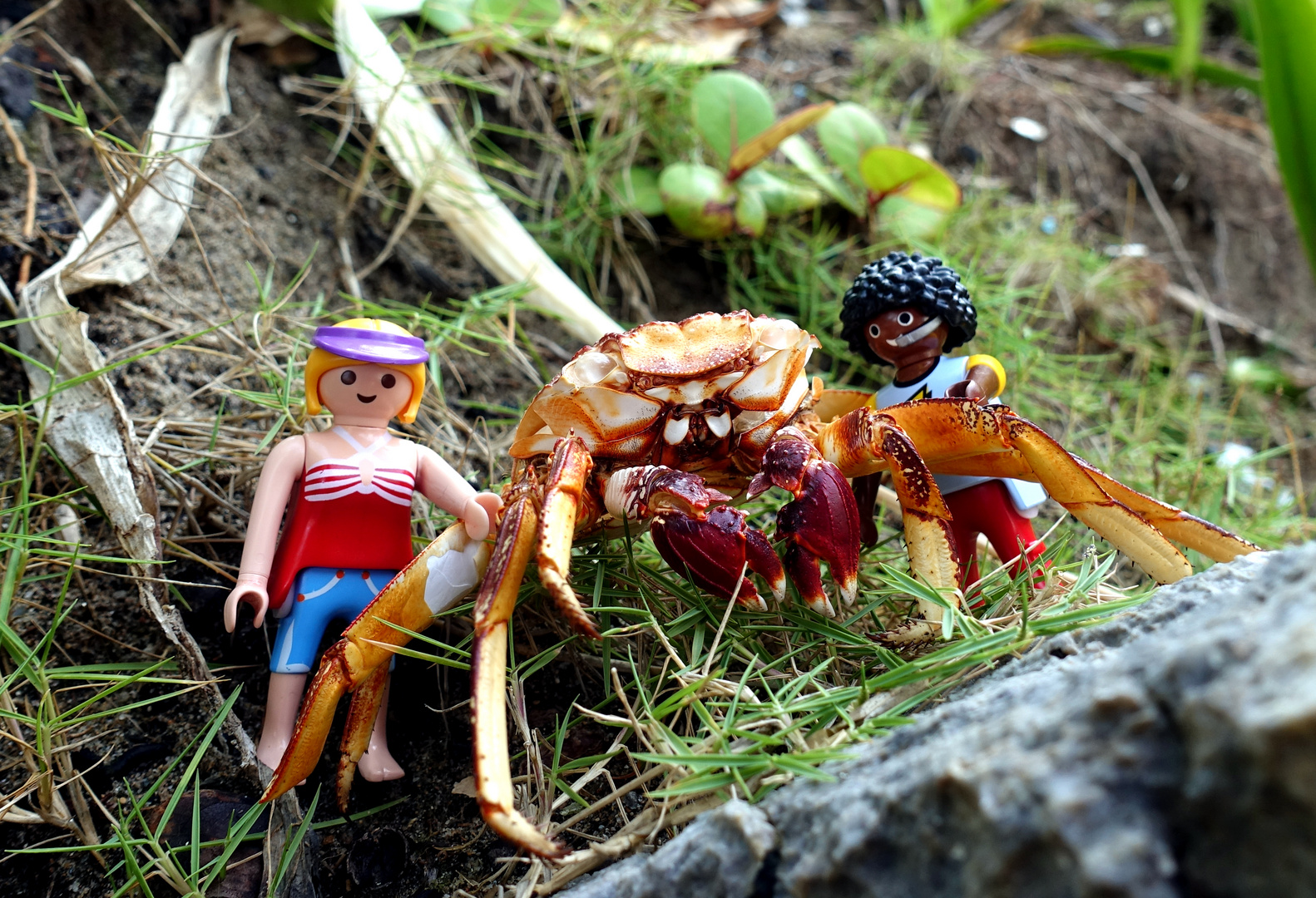 Mr. Crab meets Little People 