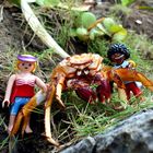 Mr. Crab meets Little People 