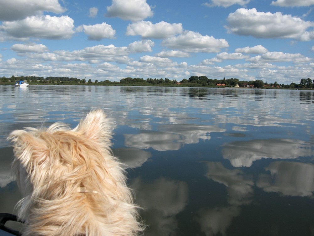 ^^ Mr. Ed und die Wolken..