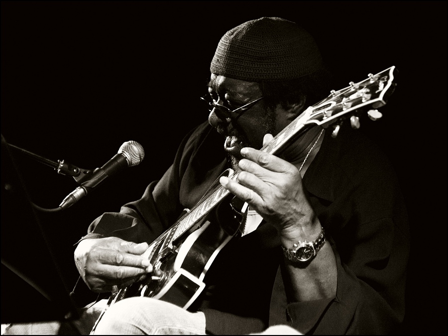 Mr. James Blood Ulmer