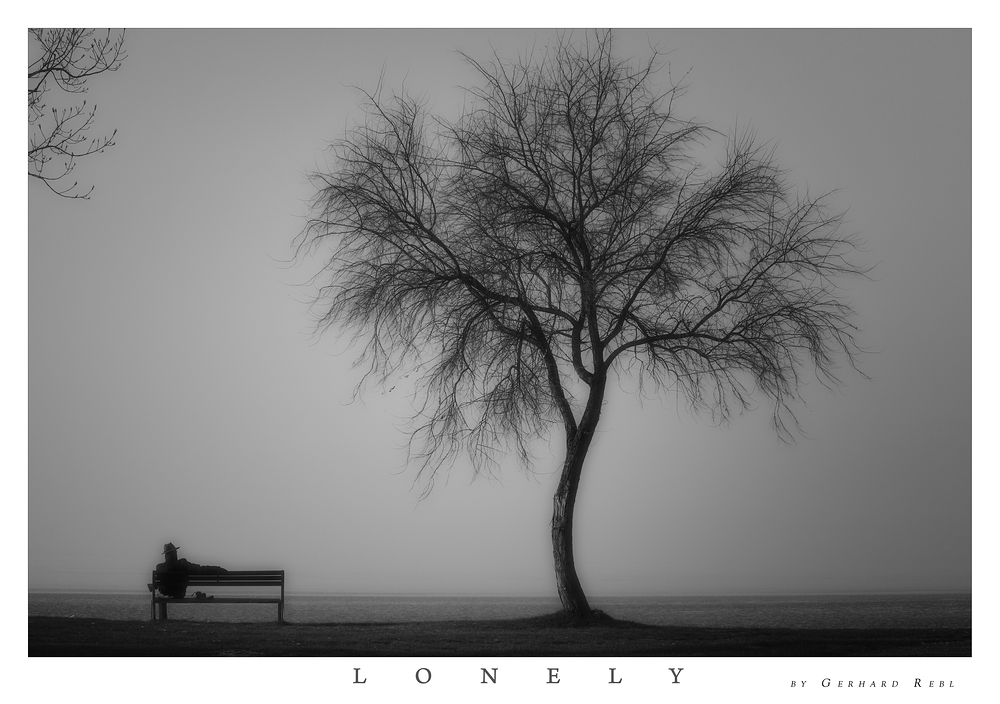 "Mr. Lonely"