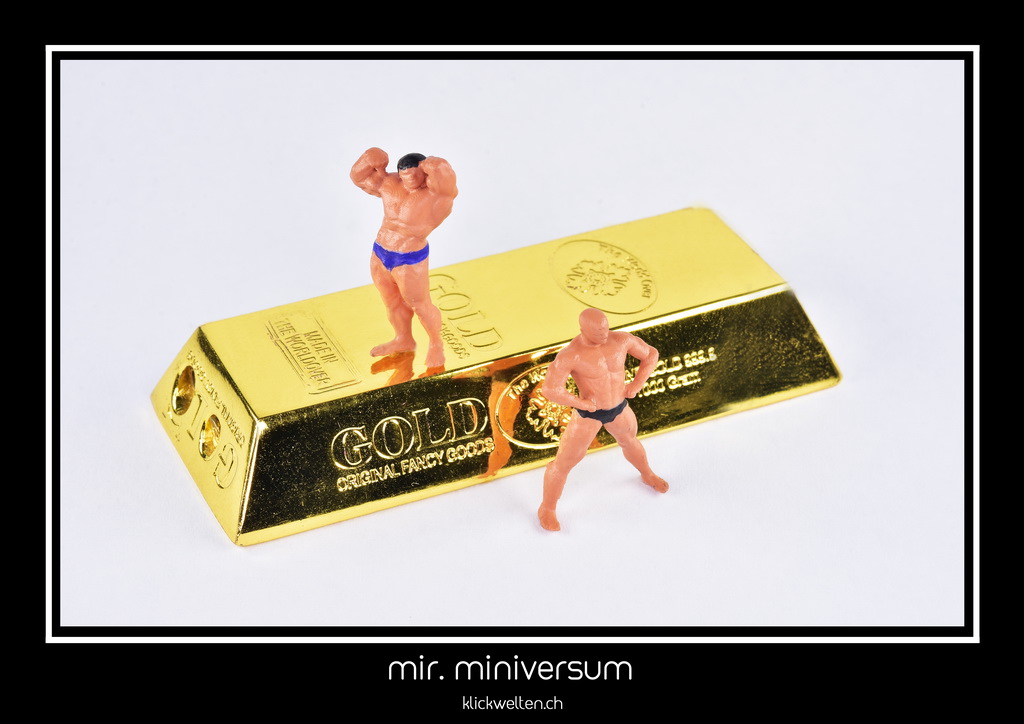 mr. miniversum I