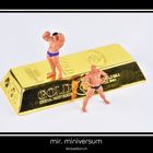 mr. miniversum I