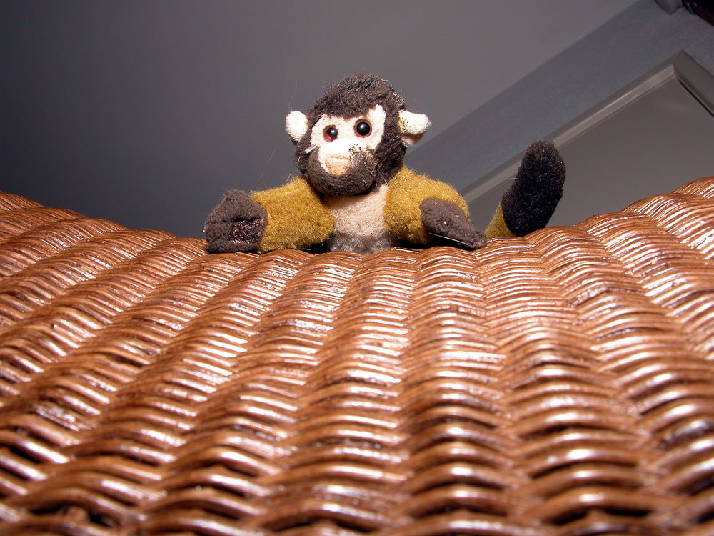 Mr. Monkeyman, Mozes' best friend.