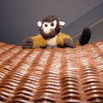 Mr. Monkeyman, Mozes' best friend.