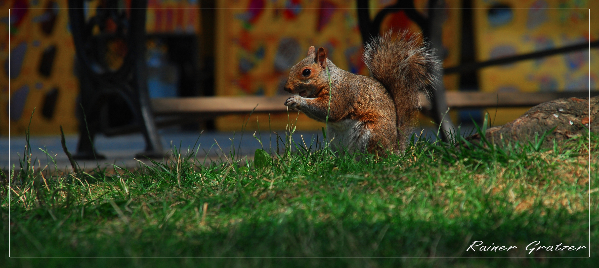 Mr. Nice in the park