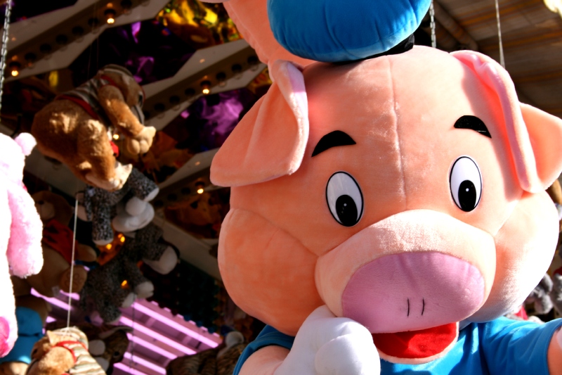 Mr. Pig?!