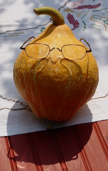 Mr. Pumpkin