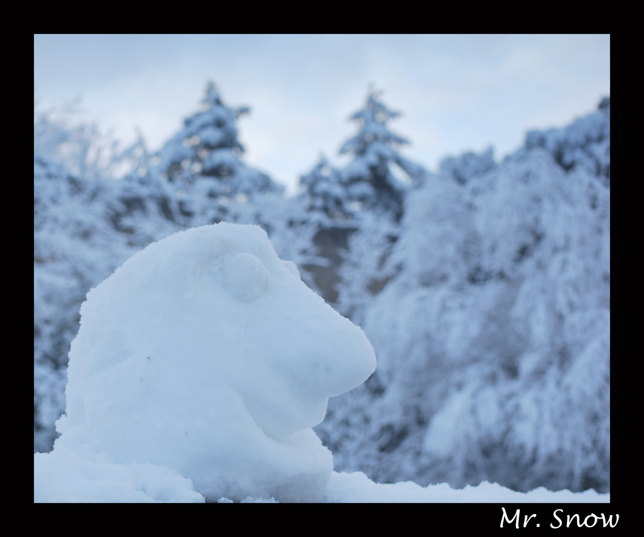 Mr. Snow