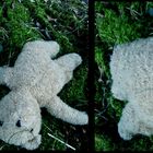 Mr. Teddybär is tot =D