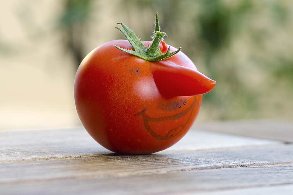 Mr. Tomato :-)