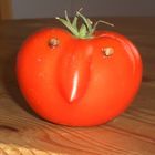 Mr Tomato