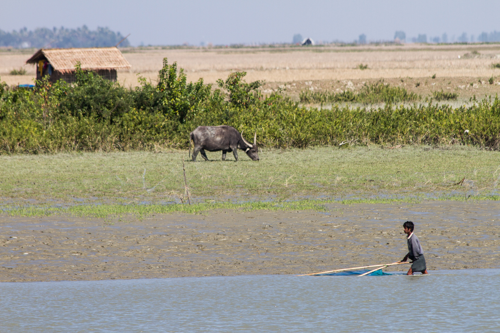 Mrauk U