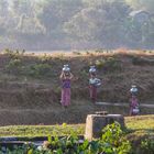 Mrauk U