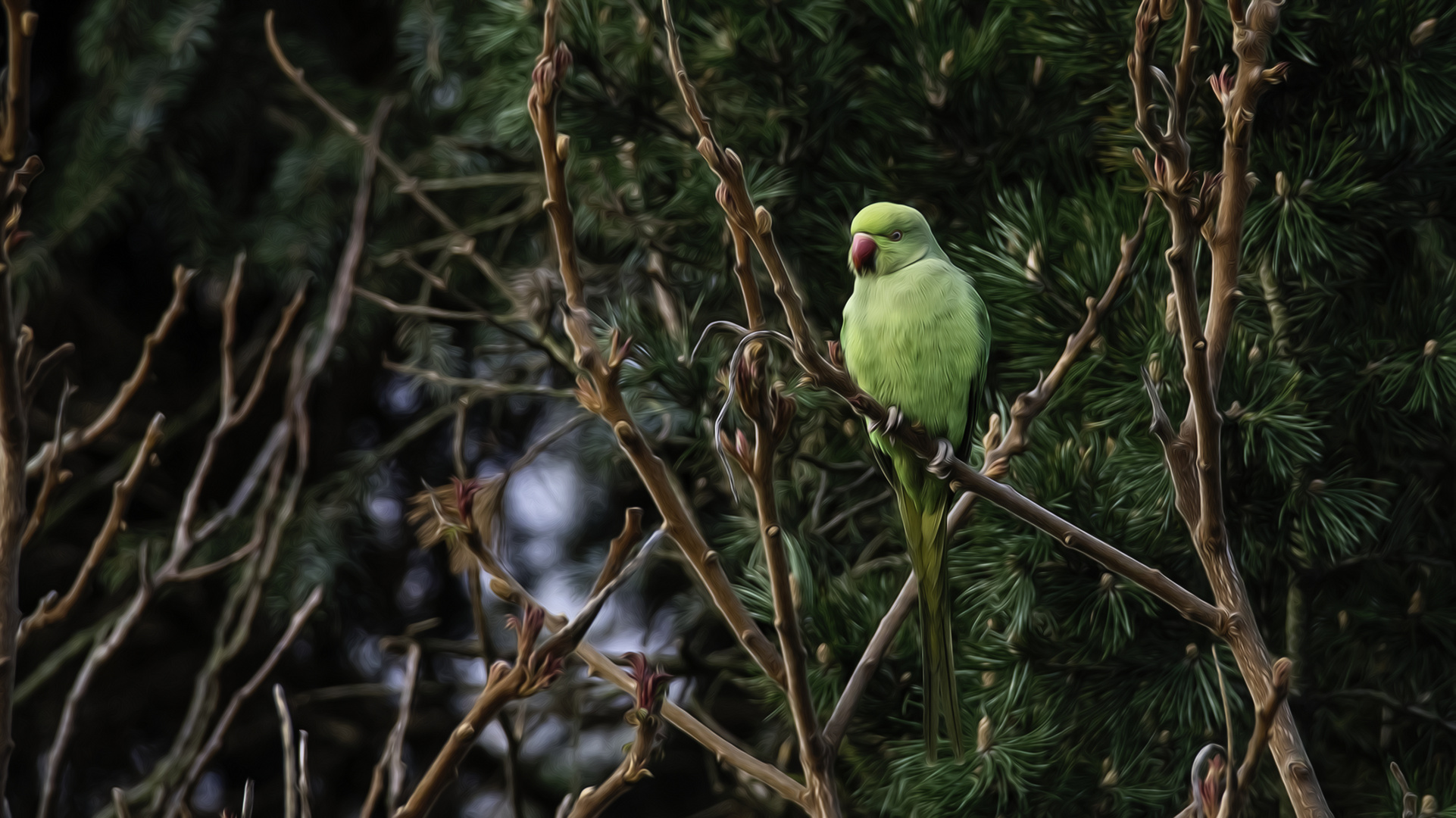 Mrs Greeny in unserem Garten