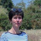 User Profile Photo