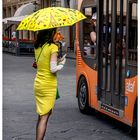 Mrs. Yellow under the gaze of passenger bus