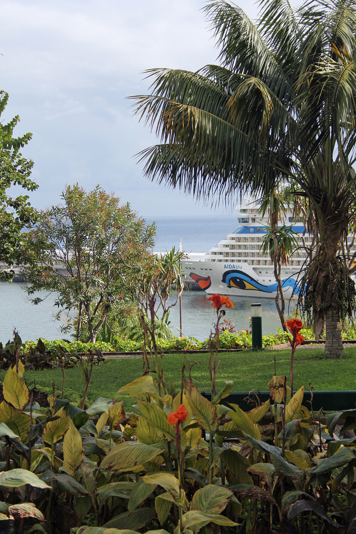 MS AIDAblu  in Funchal / Madeira 