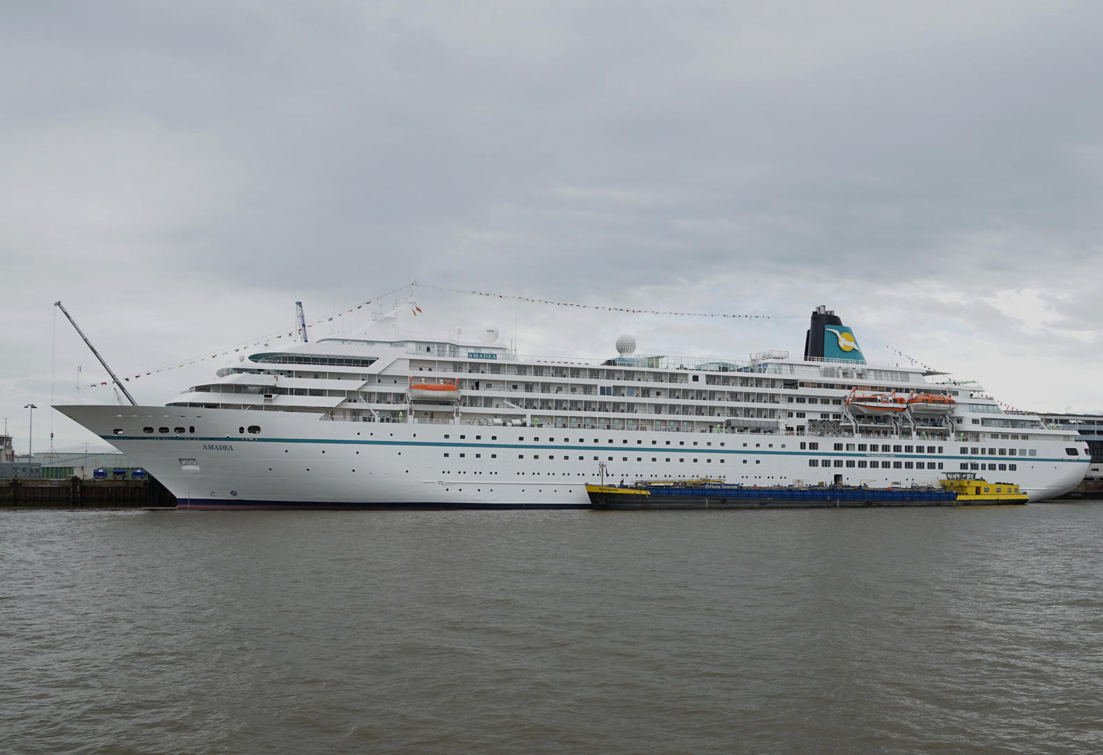 MS Amadea in Bremerhaven 31.07.16