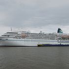 MS Amadea in Bremerhaven 31.07.16