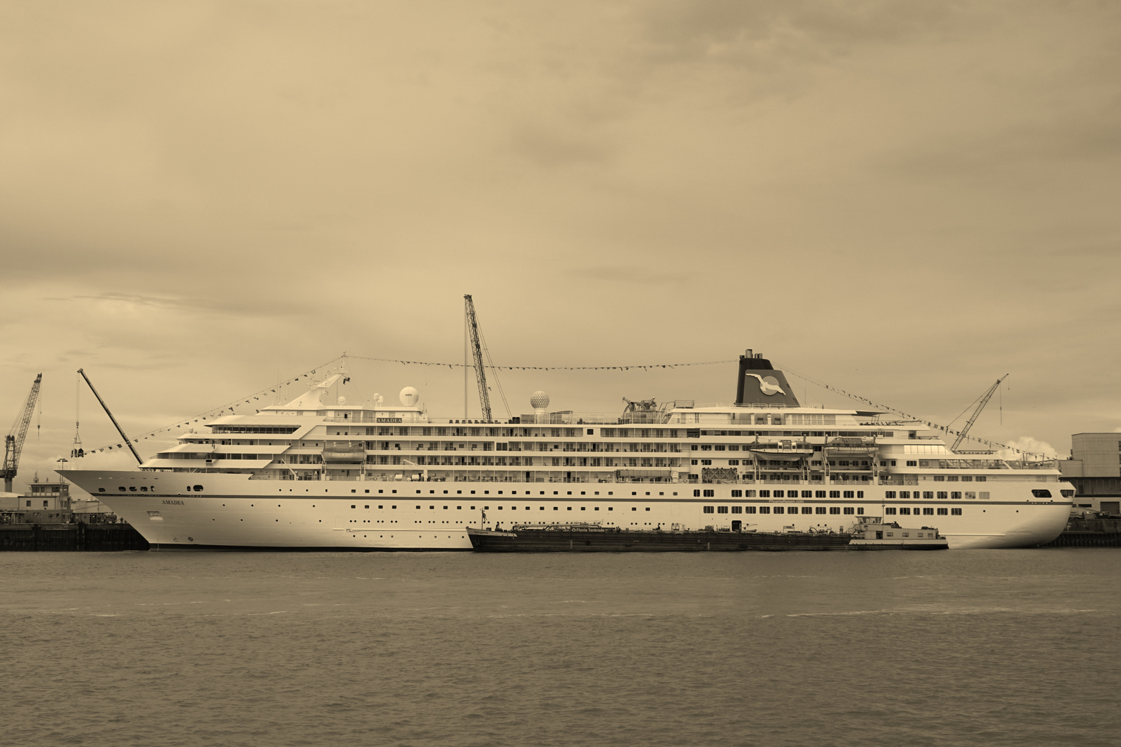 MS Amadea in Sepia