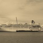 MS Amadea in Sepia