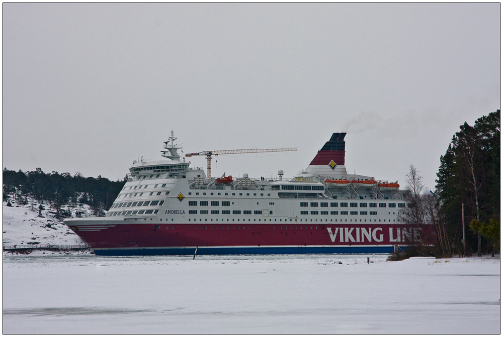 m/s Amorella