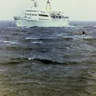 M/S Baltic Star / Helgoland 1981 auf dem Weg von Gedser/DK nach Travemünde