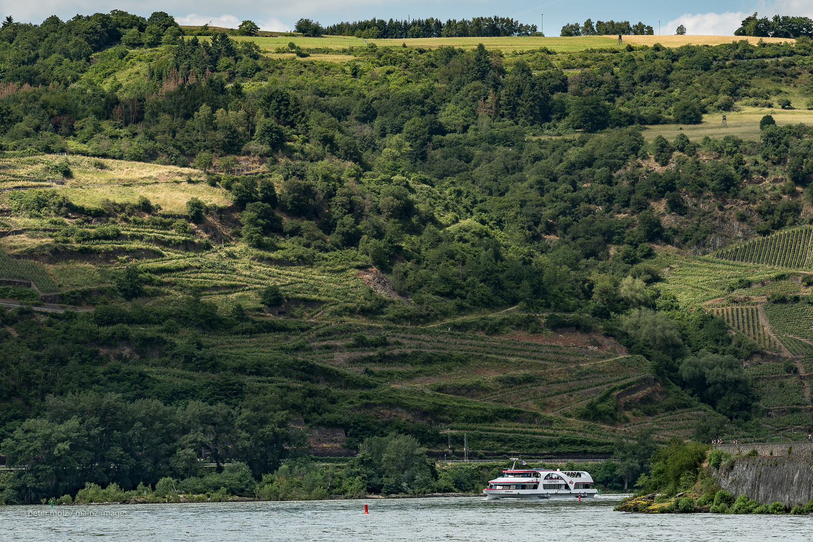 MS Boppard (KD) bei der Anfahrt auf Oberwesel - Oberes Mittelrheintal