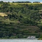 MS Boppard (KD) bei der Anfahrt auf Oberwesel - Oberes Mittelrheintal