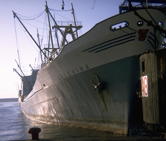 MS Celerine im Hafen Odessa