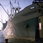 MS Celerine im Hafen Odessa