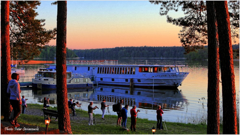 MS Classic Lady bei Sonnenuntergang