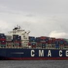 MS CMA CGM Hydra