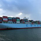 MS Cosco Portugal -2-