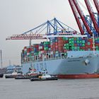 MS Cosco Portugal