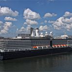 MS EURODAM