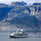 MS Hamburg im Gletschergebiet