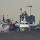 MS Hamburg in Hamburg