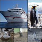 MS Hanseatic 2017 Antarktis