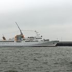 MS Helgoland -1-