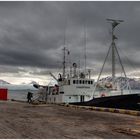 MS Langoysund in Pyramiden