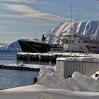 MS LOfoten im Hafen von Honningsvag I