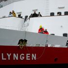 MS Lyngen wird am Kai festgemacht