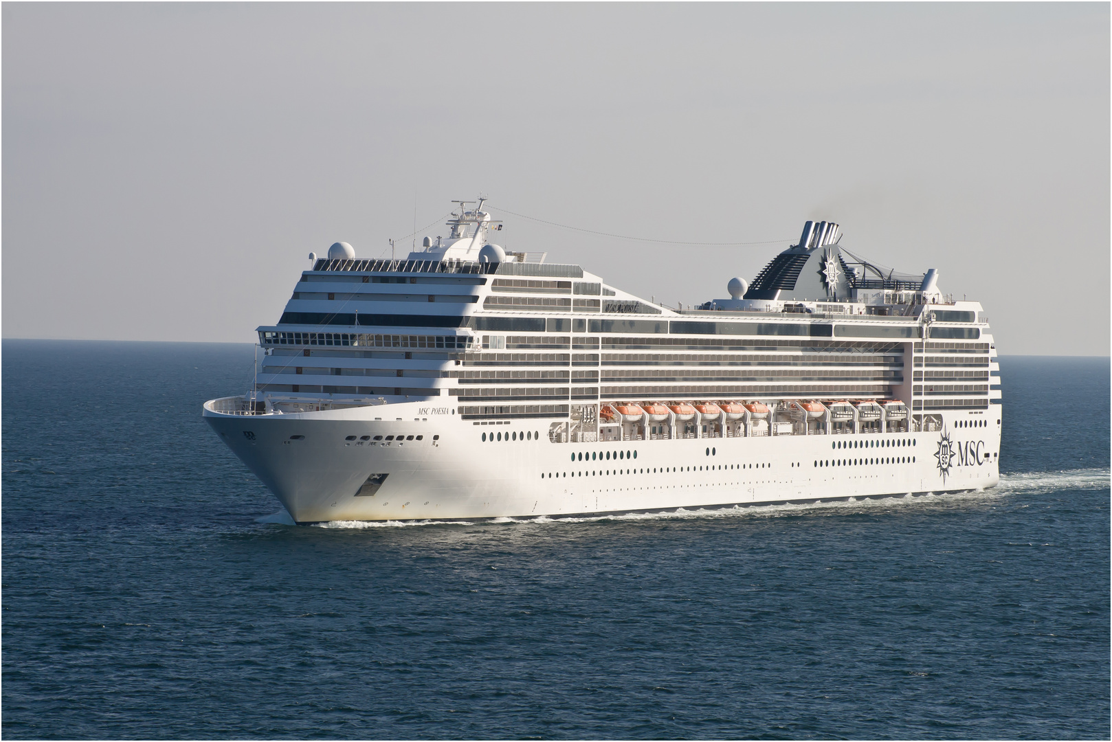 MS MSC Poesia