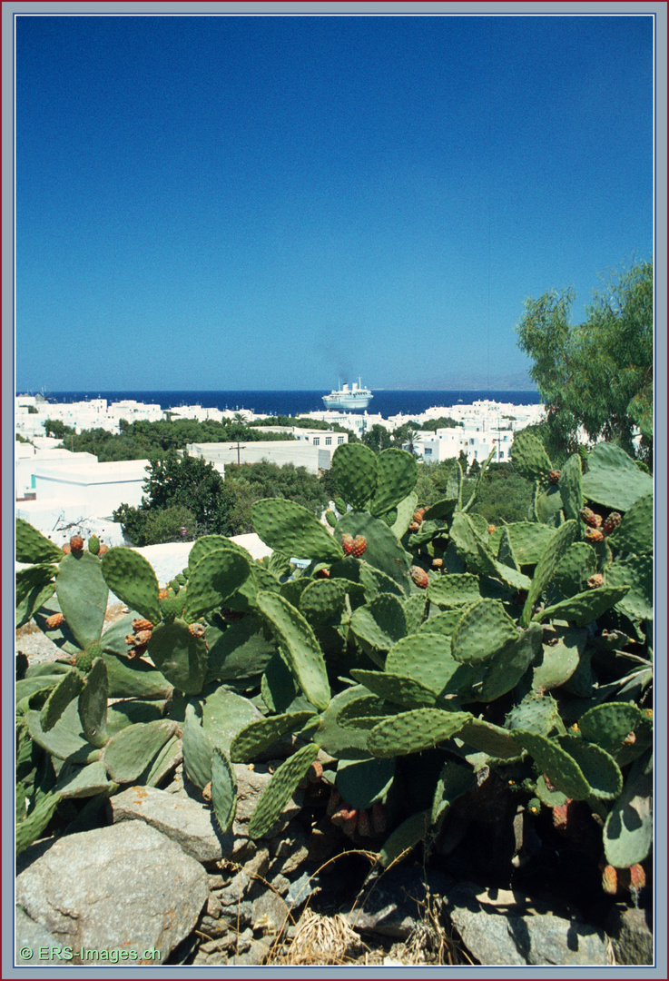 MS Navarino Mykonos 07.1978 ©