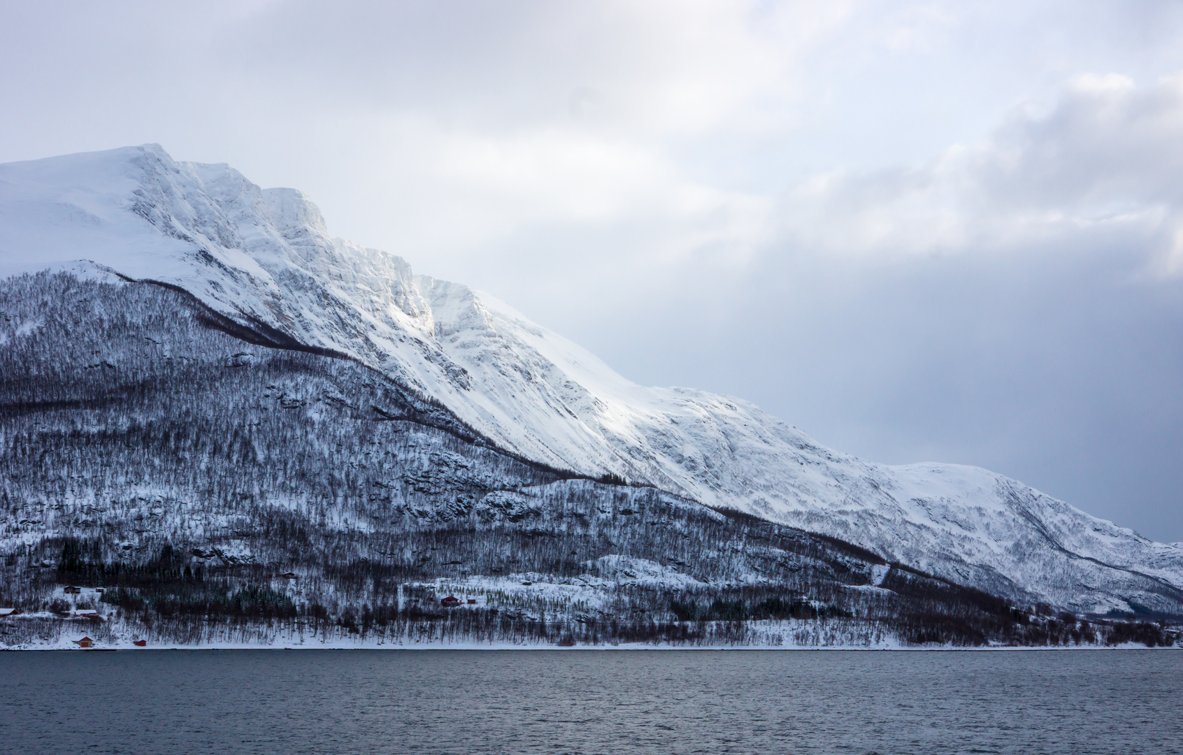 M/S Nordnorge - Tag 5/