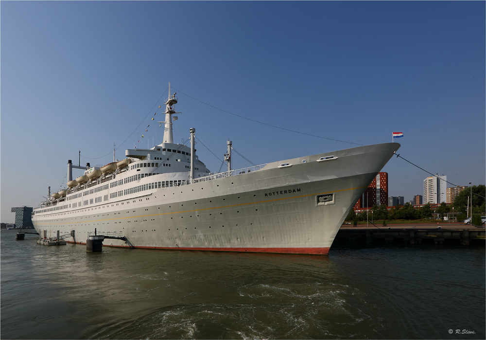 MS Rotterdam