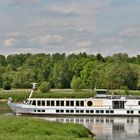 MS Saxonia auf der Elbe an der Fährstelle Aken Richtung Magdeburg